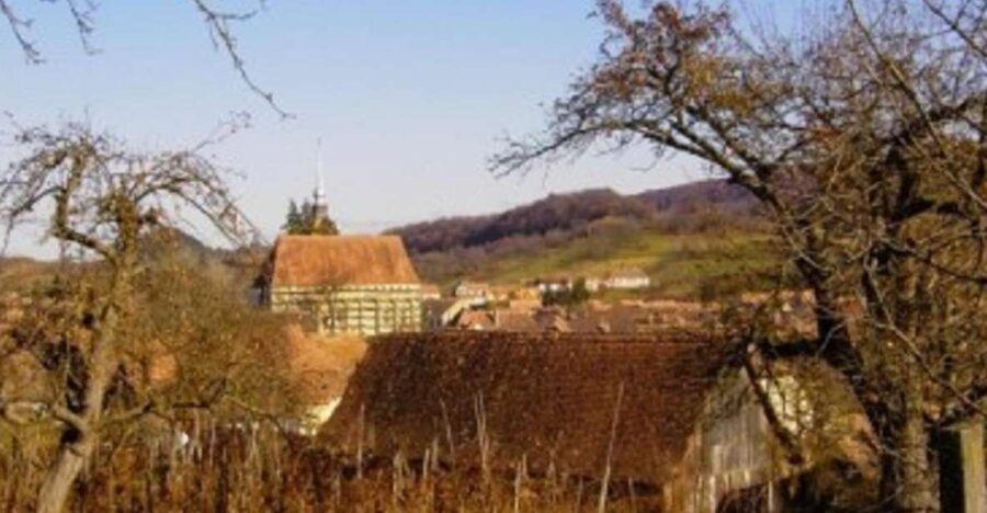 Saxon Secrets: The Malancrav & Biertan Experience - Why this half-day Saxon route works (Sighisoara to Malancrav and Biertan)