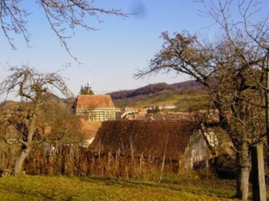 Saxon Secrets: The Malancrav & Biertan Experience - The drive first: how the countryside sets up Malancrav