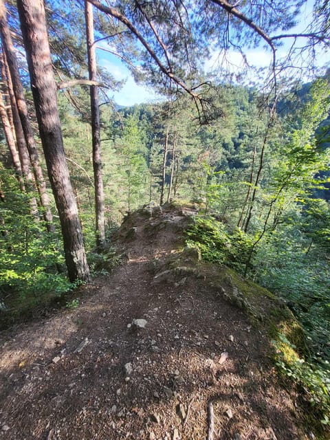 Sibiu: Cindrel Mountains Hike with Traditional Brunch - Why the Cindrel Mountains Half-Day Works So Well from Sibiu