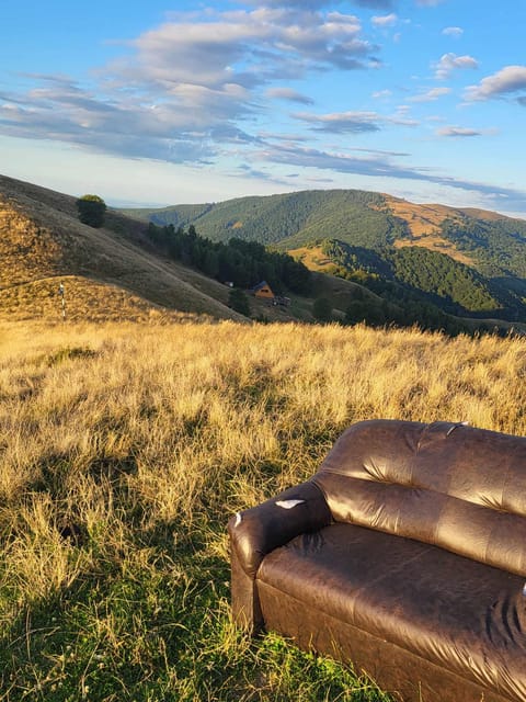 Sibiu: Cindrel Mountains Hike with Traditional Brunch - MGS Cabin Brunch: What You’ll Eat, and Why It’s More Than a Snack