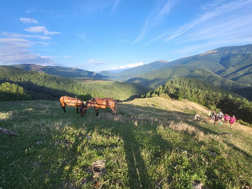 Sibiu: Cindrel Mountains Hike with Traditional Brunch - Price and Value: What You Pay for, and What You Should Budget On