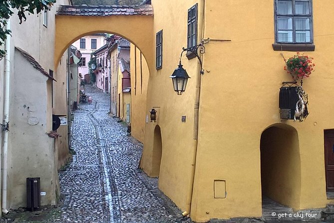 Sighisoara, UNESCO & wine tasting (1 day, from Cluj) - Sighisoara citadel walk, Covered Staircase, and when the Clock Tower matters