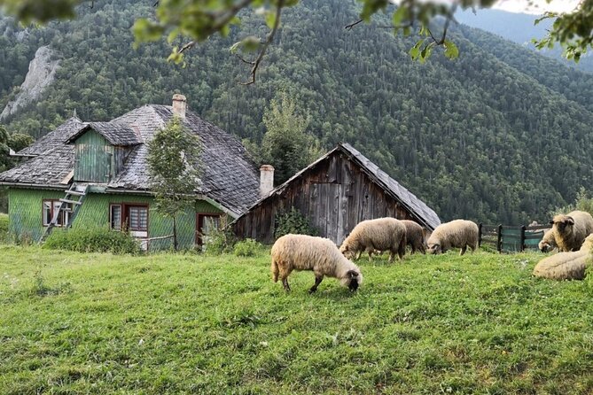 Slanic Salt Mines & Village Charms: Bucharest Day Escape - Slanic village time: crafts, local life, and that calm small-town pace