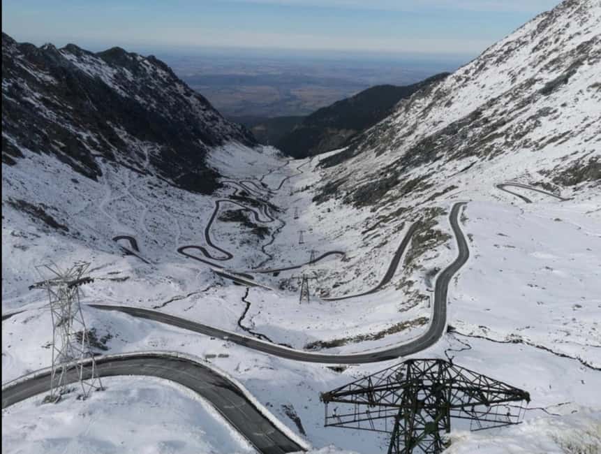 Small group Bears 'Safari' on Transfăgărășan -max 7 tourists - Key highlights to know before you go