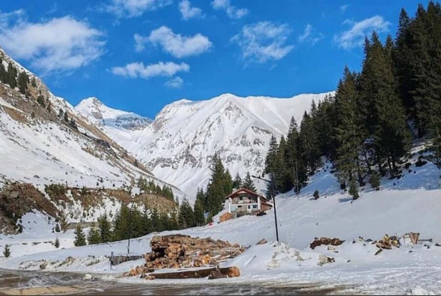 Small group Bears 'Safari' on Transfăgărășan -max 7 tourists - Pickup, start times, and the long road rhythm from Bucharest