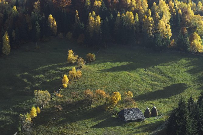 Small-Group Day Trip in Romanian Authentic Mountain Villages from Brasov - Magura Village Hike: Shepherd Country and Real Mountain Rhythm