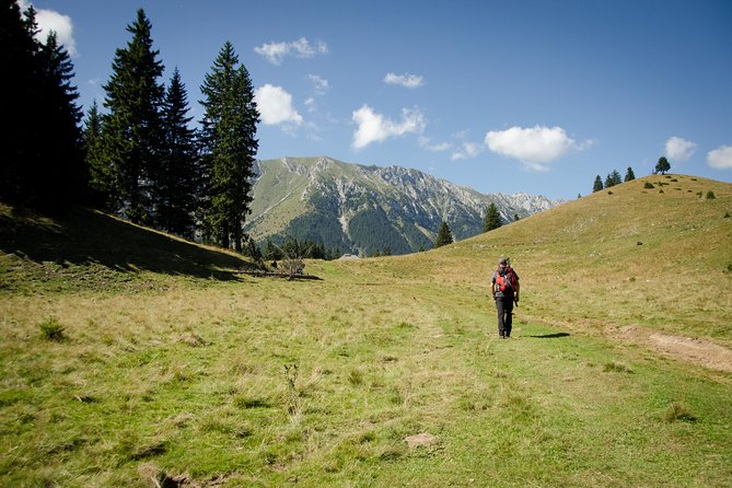 Small-Group Day Trip in Romanian Authentic Mountain Villages from Brasov - Transport, Timing, and Group Size: Why It Works as a Day Trip
