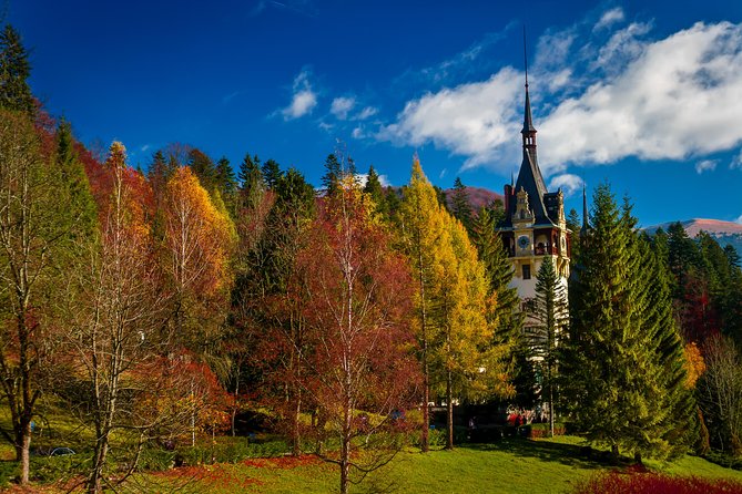 Small-Group Day Trip to Dracula's Castle, Brasov and Peles Castle - Bucharest to Transylvania, the practical way: small group, big scenery