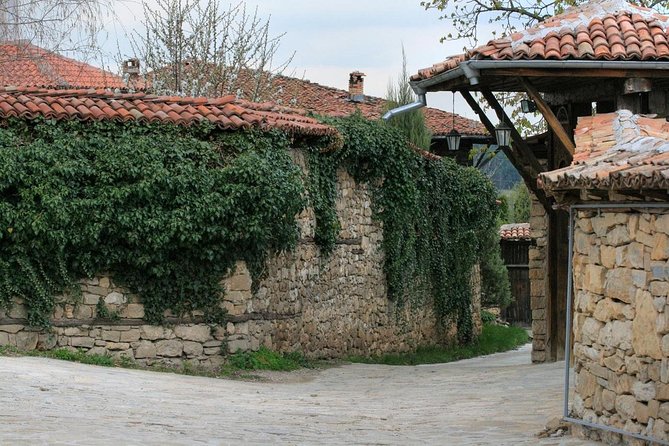 Small-Group Day Trip to North Bulgaria - The Small-Group Minivan Ride: Comfort, Control, and Long Hours