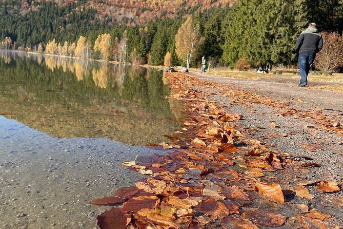 Small-group day trip to the unique volcanic lake in Eastern Europe - Tusnad Bai mineral springs, a softer finish to a geology-heavy day