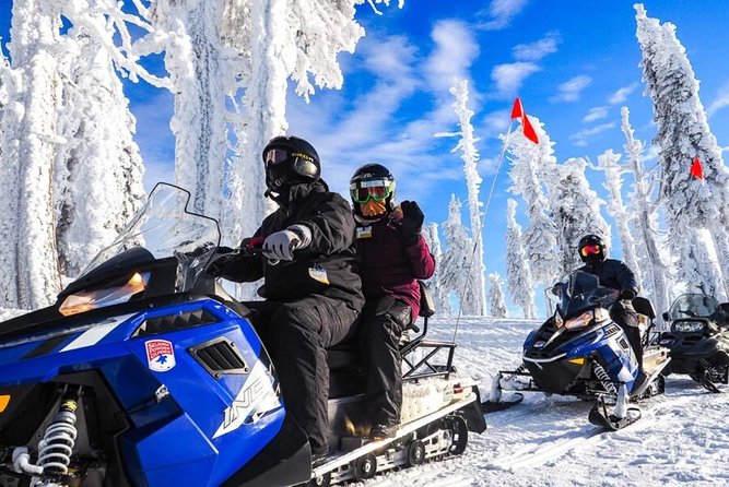 Snowmobiles, Sky Lift & Winter Sports - Private Tour - Snowmobile time in the snowy forest, guided and gear-ready