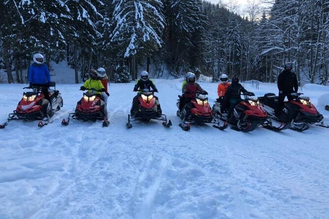 Snowmobiles, Sky Lift & Winter Sports - Private Tour - How the hotel pickup and private group time will feel