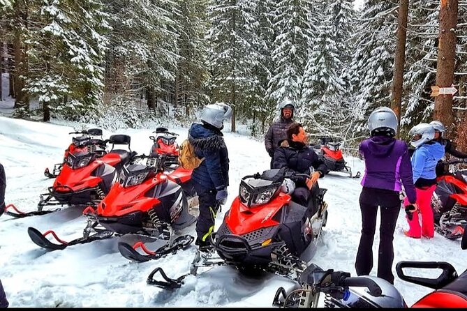 Snowmobiles, Sky Lift & Winter Sports - Private Tour - The day flow you should expect, step by step