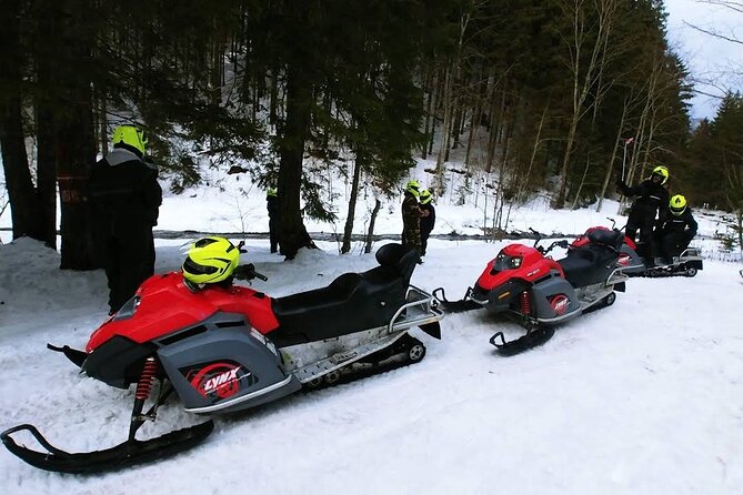 Snowmobiles, Sky Lift & Winter Sports - Private Tour - Passport requirement for snowmobile rental, not optional