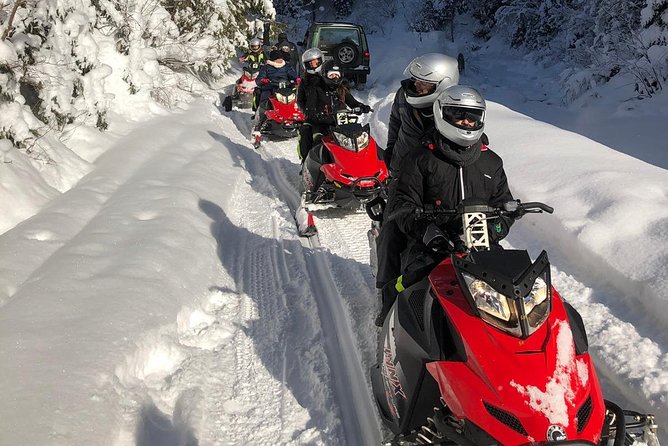 SnowMobiles Tour in Carpathian Mountains - Bucharest Pickup to Carpathian Quick Turnaround