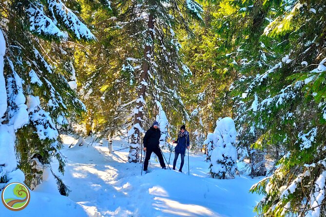Snowshoeing Fun Tour from Cluj Napoca - Great Mountain walking, built around a smooth rhythm