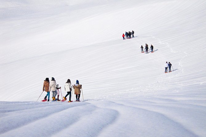 Snowshoeing Fun Tour from Cluj Napoca - The trail experience: viewpoints, deep forest, and hot drinks