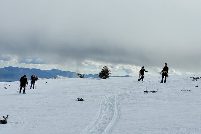 Snowshoeing Fun Tour from Cluj Napoca - What the guide teaches you on the snow