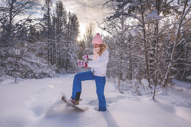 Snowshoeing Fun Tour from Cluj Napoca - Pace and group size, why small matters in winter