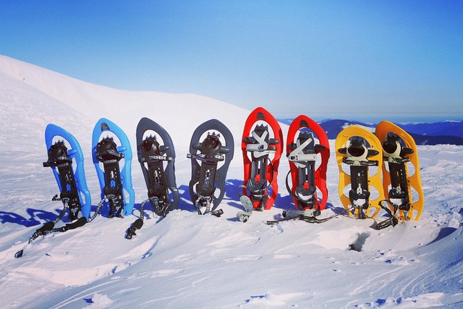 Snowshoeing Fun Tour from Cluj Napoca - Who this snowshoeing tour is best for