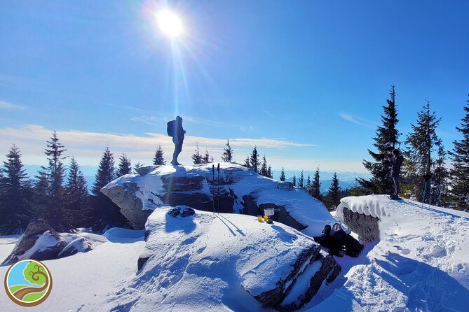 Snowshoeing Fun Tour from Cluj Napoca - Gear setup is where most winter tours win or fail