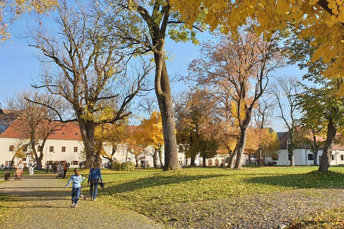 Targu Mures 3 hours walking tour - Biblioteca Teleki-Bolyai: a small museum with big ideas