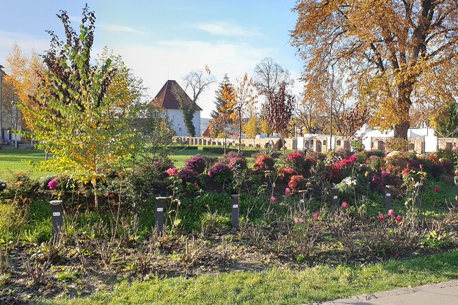 Targu Mures 3 hours walking tour - The fortress walk: 7 bastions, a park, and the oldest church in town