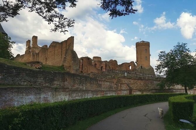 The Real Dracula's Castle in Targoviste, Winery and Dracula' Tomb - Wine in the name, history in the schedule