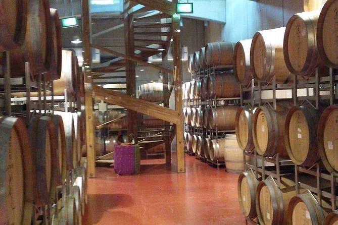 The Salt Mines, The Winery, The Muddy Volcanoes! The Fixers Private Tour - LacertA Winery in Buzau County: countryside pacing and tasting choices