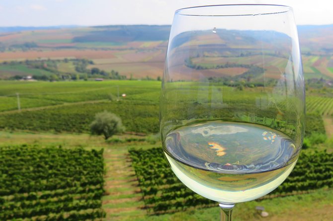 The wine route by bike - Key reasons this bike wine day is worth your time