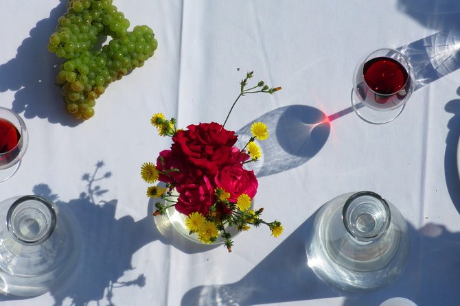 The wine route by bike - A bike-and-wine route that actually feels like a day out