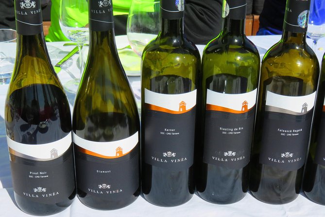 The wine route by bike - Stop 3, Crama Serve Ceptura: French investment and a second tasting