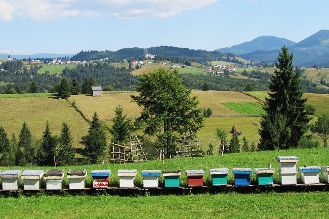 The wine route by bike - Timing: how 4 to 8 hours plays out in real life