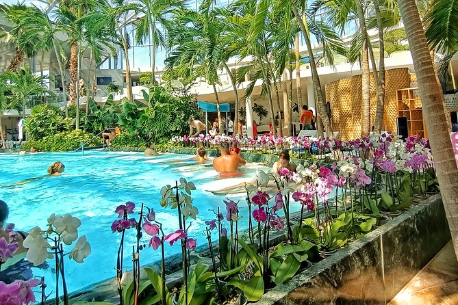 Therme Bucharest Tickets and Water Theme Park - PALM: Tropical Plants, Heated Pools, and a Real Sand Beach