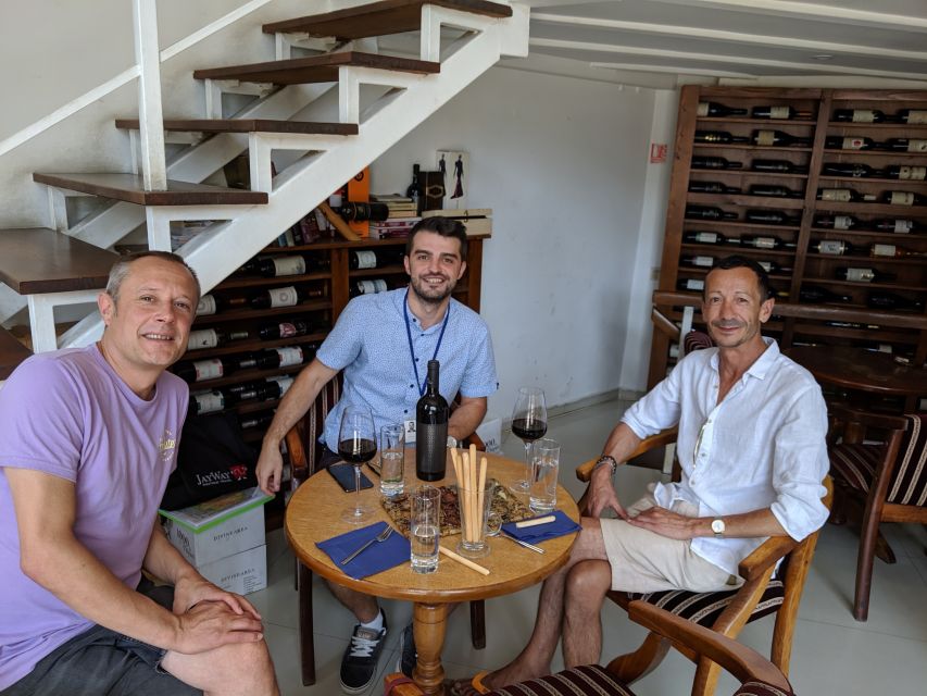 Traditions in Bucharest: Village Museum and Wine Tasting - National Village Museum, Romania in 300 buildings