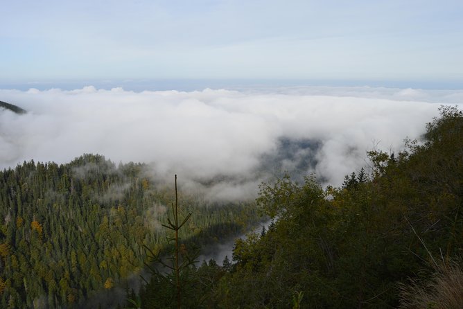 Transfagarasan, Vidraru and Poenari Fortress Tour from Sibiu - Food, weather, and what to bring for an 8 to 10 hour outing