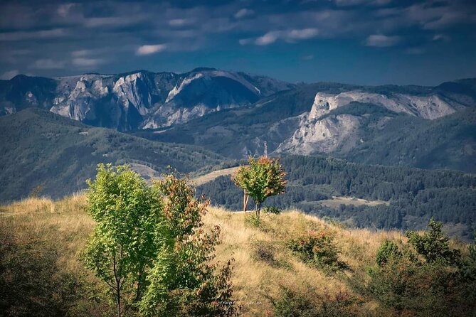 Transfer Bucharest -Brasov with Targoviste and Bran Castle visits - Price and Value: Is $190.81 a Good Deal?