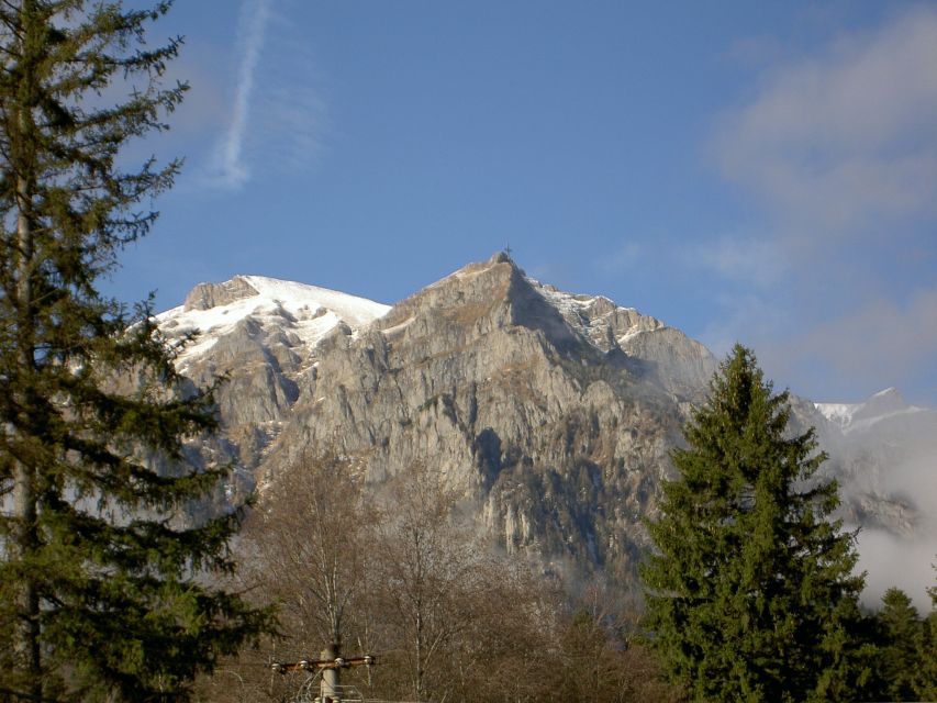 Transylvania: Cultural Full-Day Trip by Minivan - Bucharest to Transylvania: the day starts on easy mode