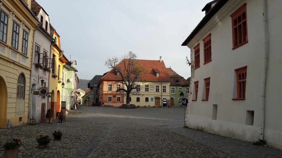 Transylvania: Dracula's Castle and Birthplace Tour - A long Transylvania day with two main stops