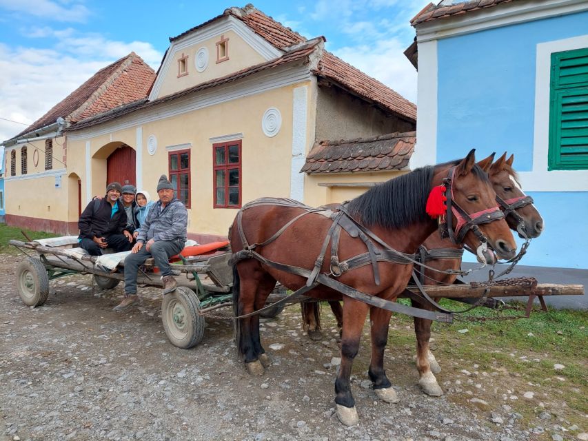 Transylvania Gems: Sighisoara, Medias, Biertan & Gypsy life - Starting in Cluj: pick-up at Matthias Corvinus and a smooth head start
