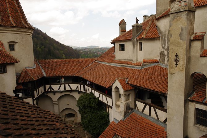 Transylvania with Dracula Castle, Bear Sanctuary and Brasov - Guides make the difference, and the names matter