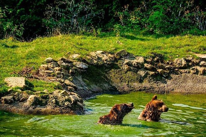 Transylvania with Dracula Castle, Bear Sanctuary and Brasov - Quick heads-up on pacing and what to do if you want more time