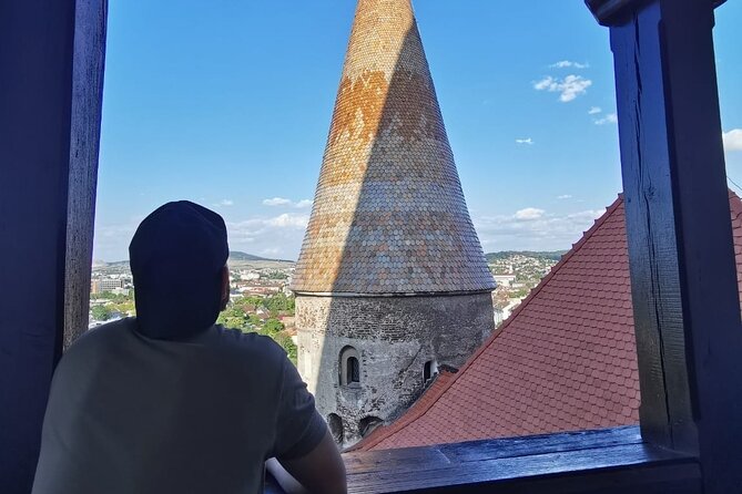 Turda Salt Mine, Corvin Castle and Alba Fortress from Cluj - Who should book this, and who should skip it