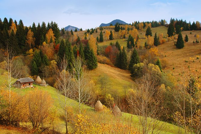 Two days tour to Bucovina & UNESCO Painted Monasteries - Your Guide Florin: When Private Adds Real Meaning