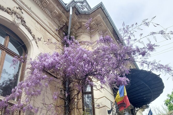 Unique Tour of Hidden Bucharest - Price and Value: Why This Costs About $46.86