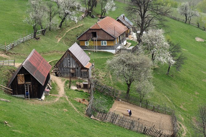 Village life in Transylvanian Carpathian mountains - 8 days - Key highlights that matter before you go
