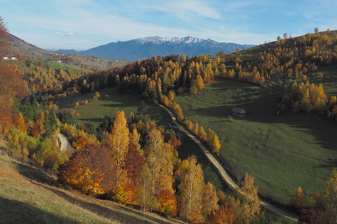Village life in Transylvanian Carpathian mountains - 8 days - Village hopping across Magura to Fundata (and meeting locals)