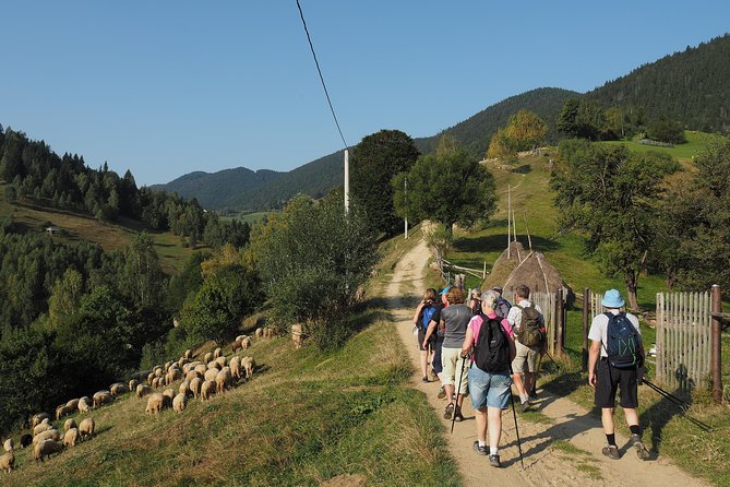 Village life in Transylvanian Carpathian mountains - 8 days - Fundata and Fundatica: highest commune, home-style meals