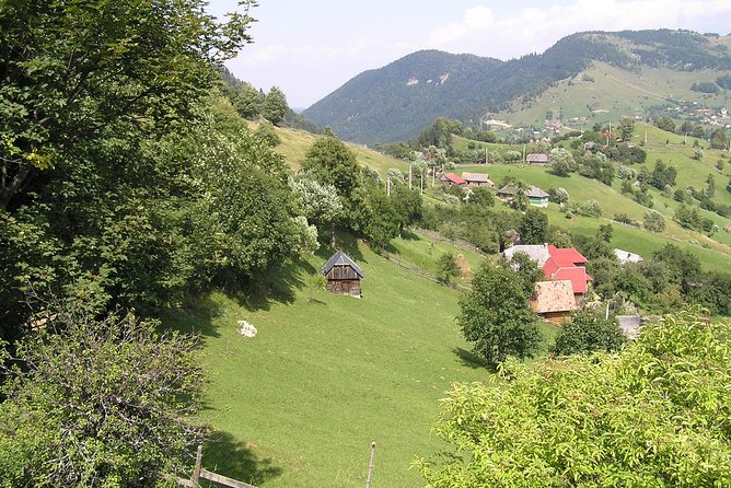 Village life in Transylvanian Carpathian mountains - 8 days - Bran Castle and the Dracula story, handled with perspective
