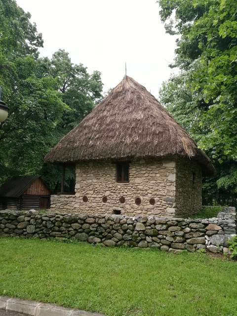 Village Museum Bucharest Guided Tour - Weather Rules and the Mogosoaia Palace Plan B